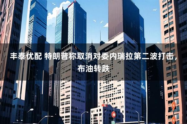 丰泰优配 特朗普称取消对委内瑞拉第二波打击，布油转跌