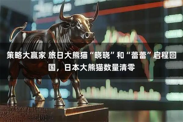 策略大赢家 旅日大熊猫“晓晓”和“蕾蕾”启程回国，日本大熊猫数量清零