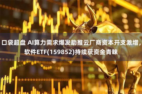 口袋超盘 AI算力需求爆发助推云厂商资本开支激增，软件ETF(159852)持续获资金青睐